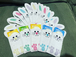 Bunny choc sleeves green